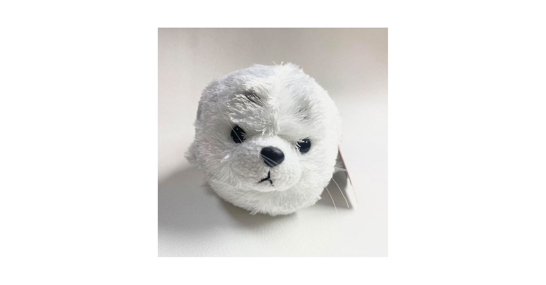 51aeEW+s5PL.jpg_BO30,255,255,